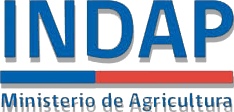 Logo INDAP